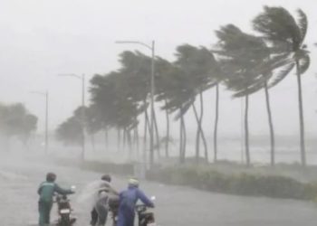 நிவர் புயல் தீவிரம்… செங்கல்பட்டு உள்ளிட்ட 7 மாவட்டங்களில் போக்குவரத்து நிறுத்தம்!